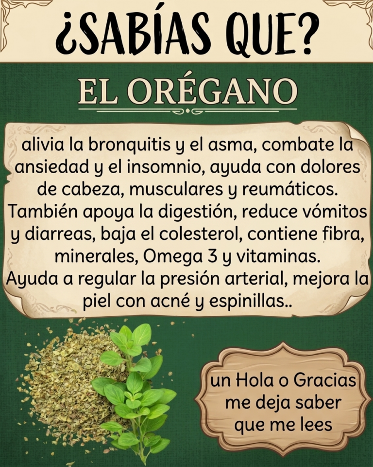 Orégano Orejón: Una Planta Natural con Grandes Beneficios para tu Bienestar